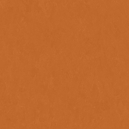 Salsa Altro Orchestra Flooring